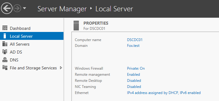 Pre-reboot, our domain settings are listed in server manager