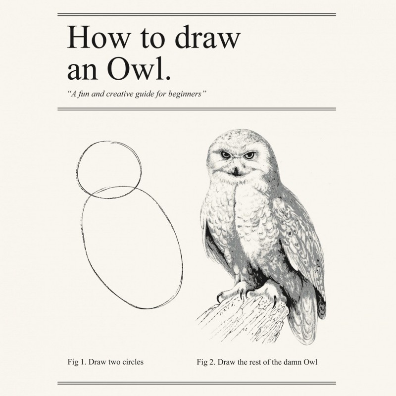 a humorous image showing how to draw an owl in two steps.  The first step is two simple circles.  The next step shows an incredibly ornate drawing of an owl with the instructions 'now draw the rest of the damn owl'